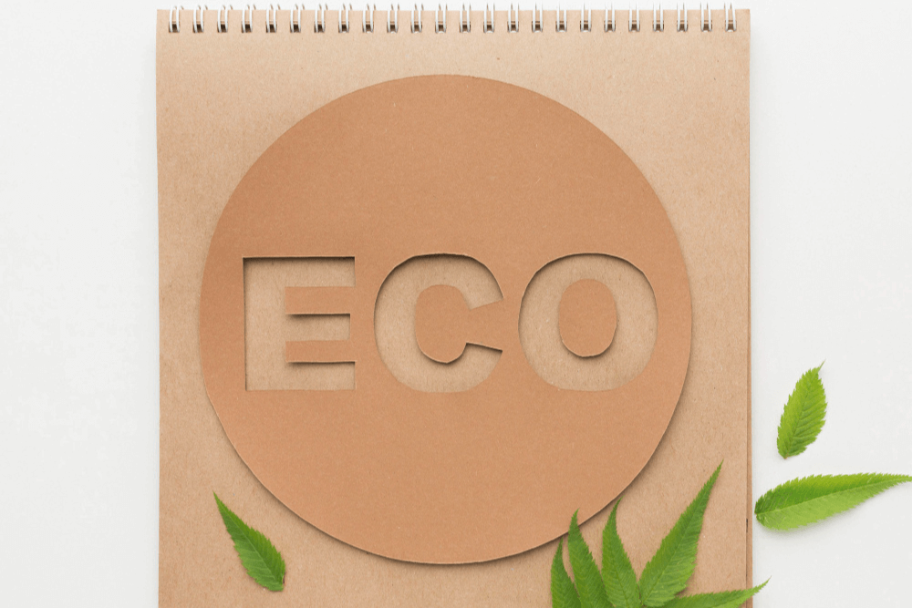 Papéis Sustentáveis: qualidade e consciência ambiental